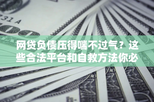济南网贷负债压得喘不过气？这些合法平台和自救方法你必须知道！